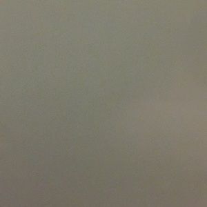 Meet your Posher, Trevor